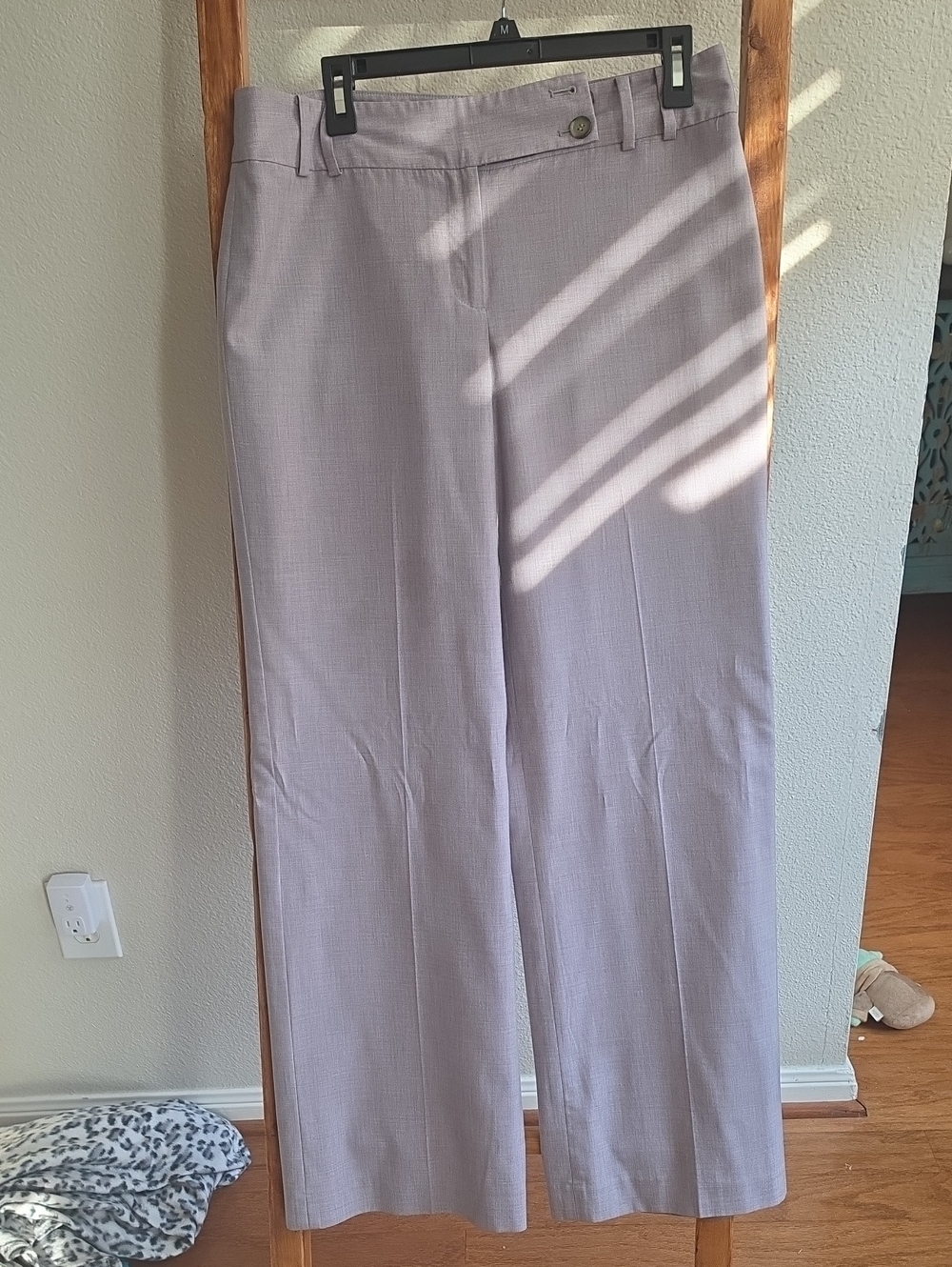Ann Taylor Womenn's Light Grey Dress Pants